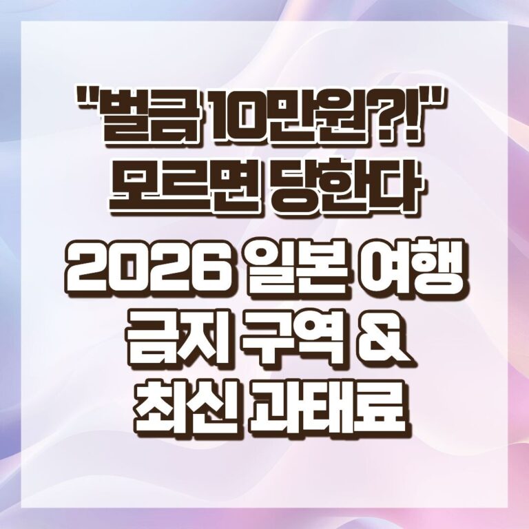 2026 일본 여행 금지 구역 & 최신 과태료 : "벌금 10만원?!" 모르면 당한다 썸네일
